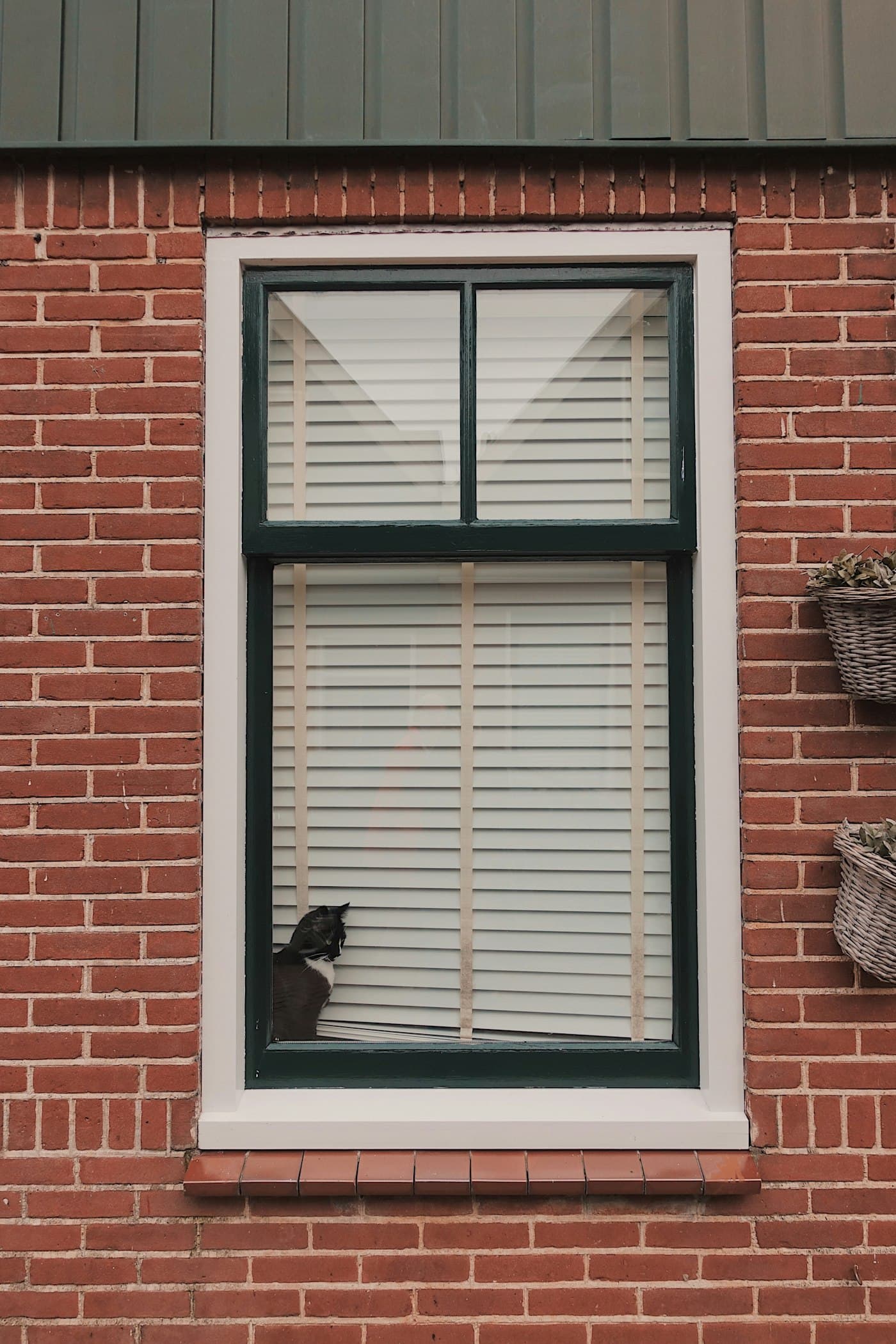A painted sash window in a red-brick wall